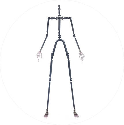 STARPERY  Skeleton
