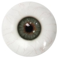 Grey-Green