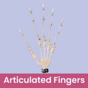 Articulated Fingers