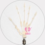 Articulated Fingers