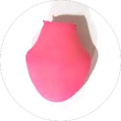 Removable Tongue