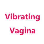 Vibrating Vagina