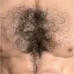 Chest Hair