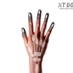 Anti-Puncture Articulated Fingers