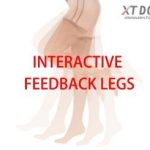Interactive-Legs