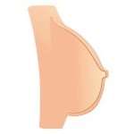 Solid Breasts