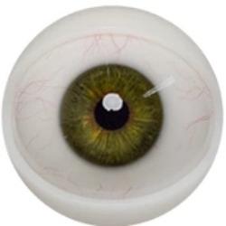 E10