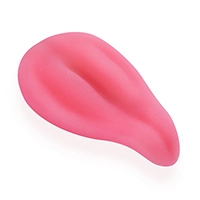 Fanreal Removable Tongue 03