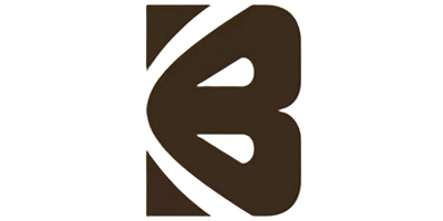 BCDOLLS Logo on sexydolls.shop