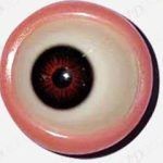 Full Movable Eye