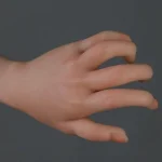 Articulated Fingers