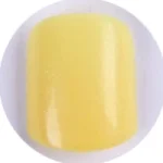 #06