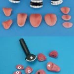 Sex Doll Tongue & Teeth - Standard Version | SexyDolls.shop